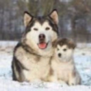 Meet your Posher, Celia